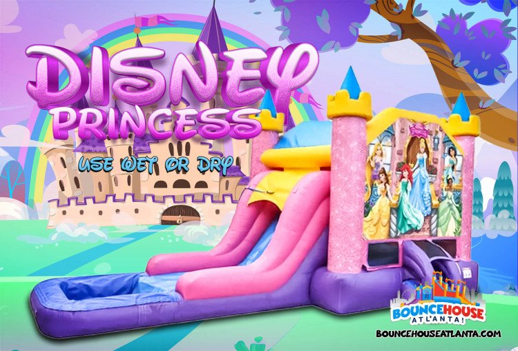 Disney Princess Deluxe Bounce and Slide