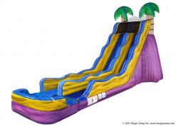 20' Tropical Blast Dual Lane Slide