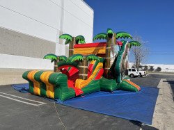 TREX2 1639491063 Dinosaur Bounce and Slide