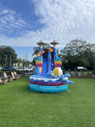8795EE45 76C4 498C 89F2 4CA55E5A2CEB 380eddbc b137 447f 9b9d 417aa 1 19' Pool Party Water Slide